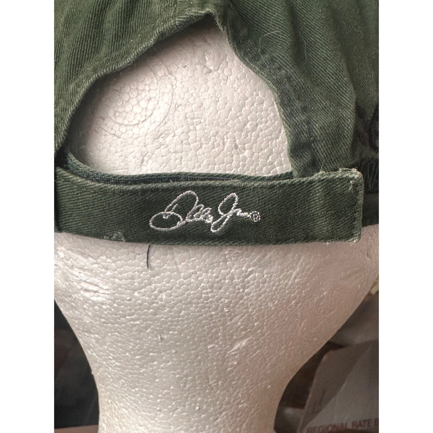 Dale Earnhardt Jr. Green NASCAR Amp Energy National Guard  Hat Chase Authentics