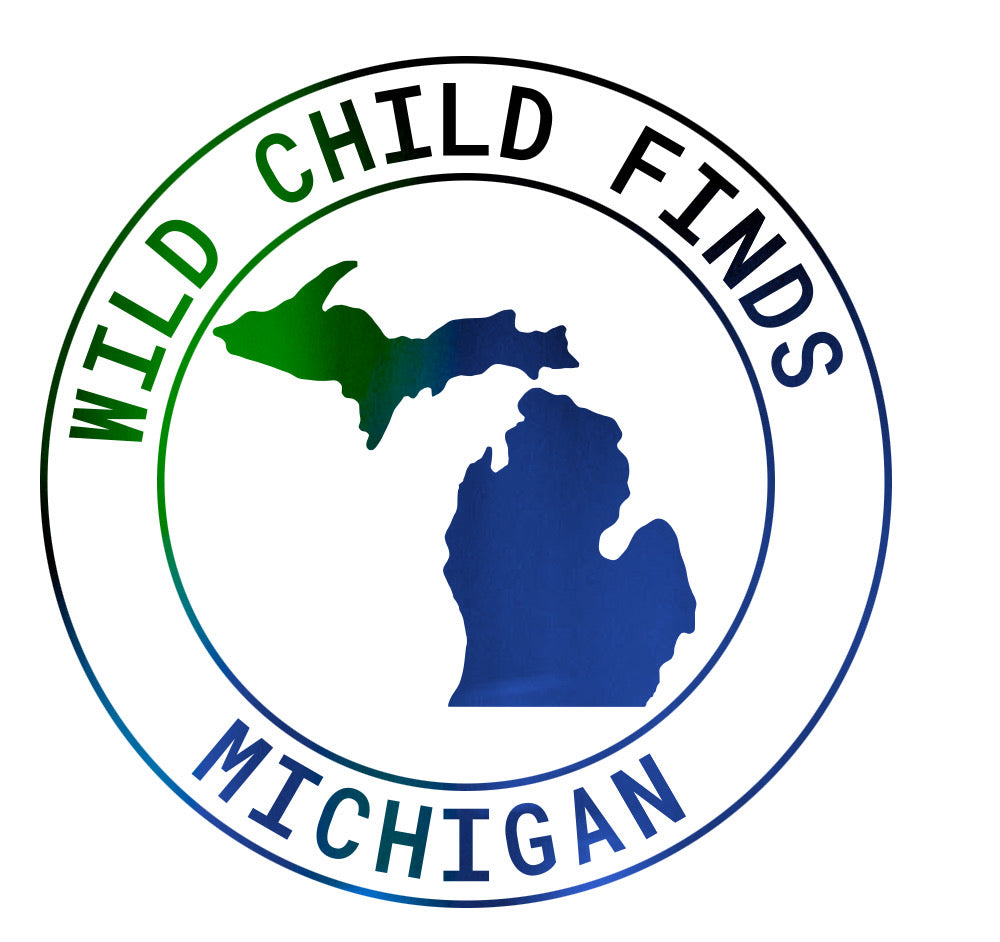 Michigan WCF logo