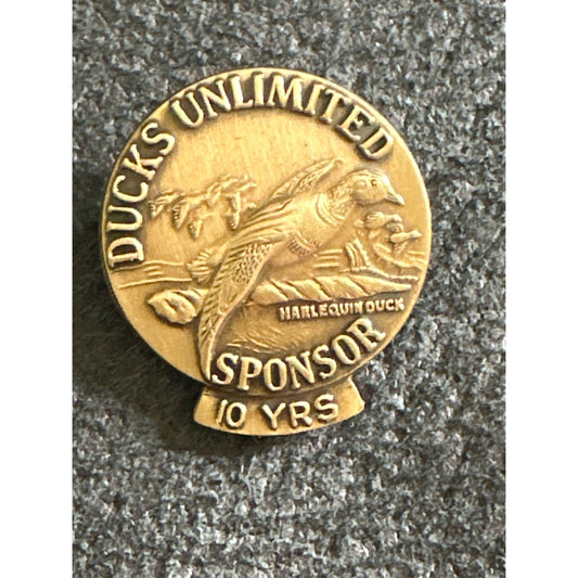 Ducks Unlimited Sponsor 10 Yrs Bronze Pin By Larry Toschik 1993 + case