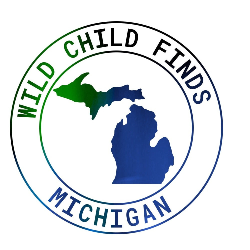 Wild Child Finds Michigan State Outline Sticker