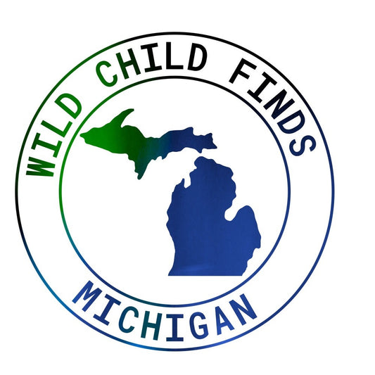 Wild Child Finds Michigan State Outline Sticker