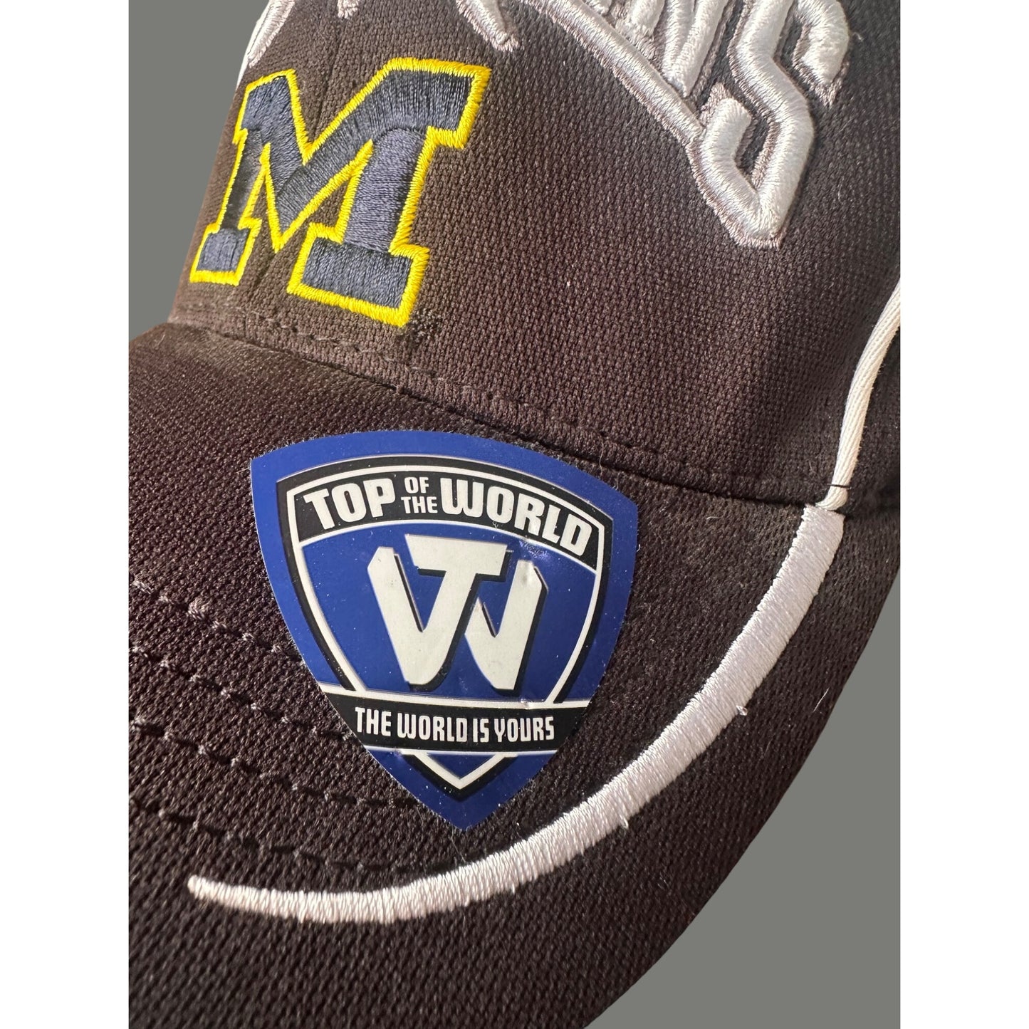 Michigan 2013 NCAA Mens Champions Hat Black Top Of The World Final Four Atlanta