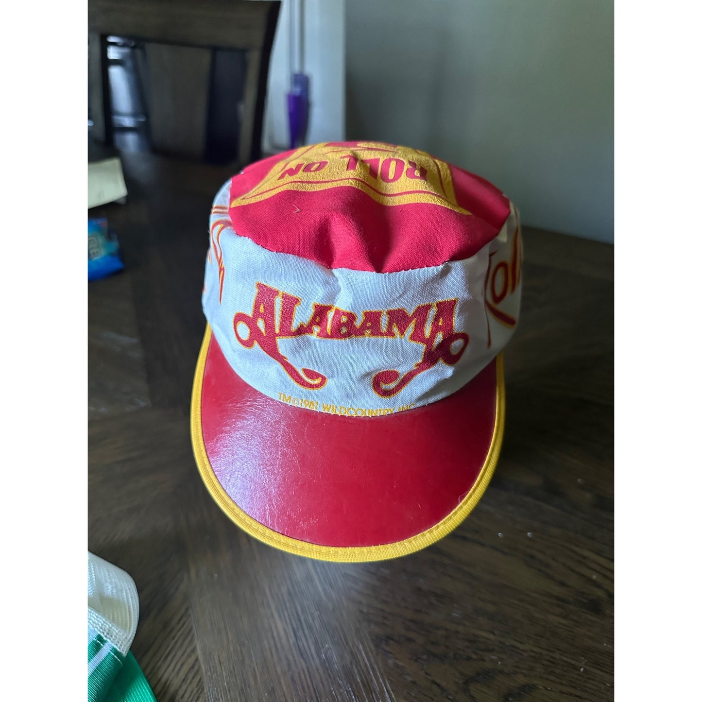 1981 Alabama music band Roll On painters Snapback Hat