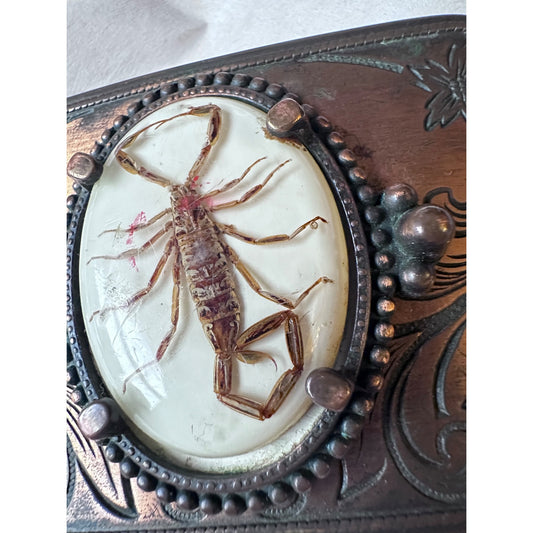 Scorpion Bronze Belt Buckle With Intricate Floral Design vintage