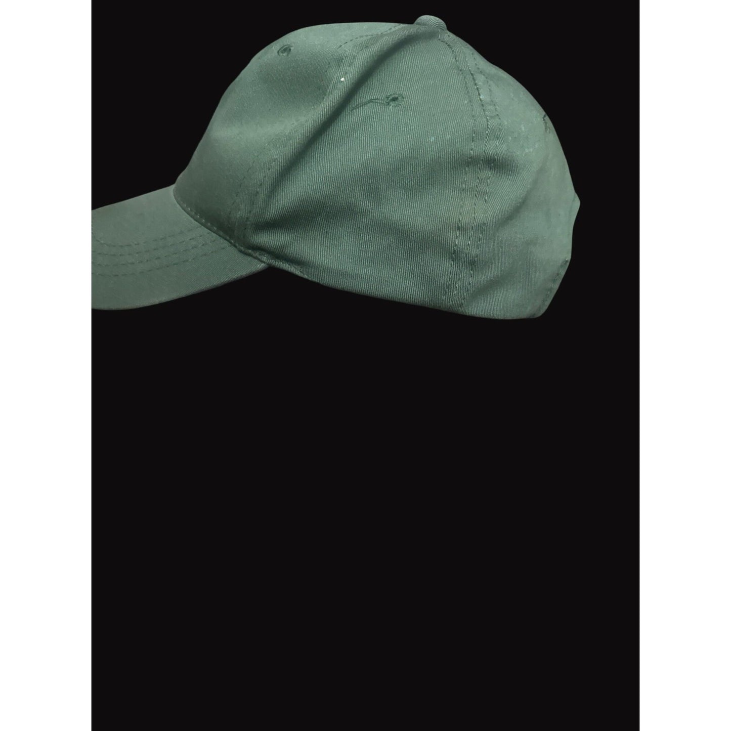 Michigan State Spartans Green Adjustable Baseball Cap Embroidered Logo MSU